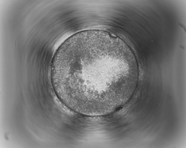 X0000103470952200810100931