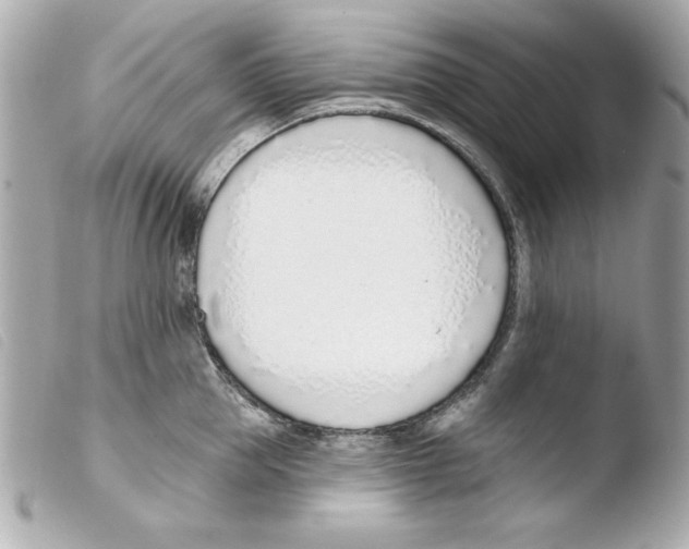 X0000103470953200810100931