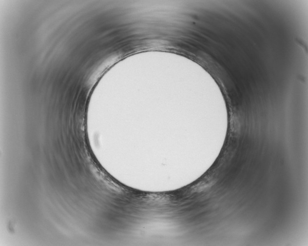 X0000103470954200810100931