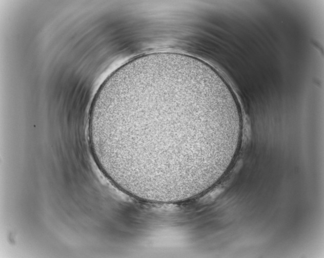 X0000103470957200810100932