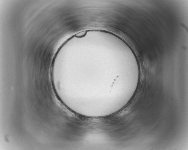 X0000103470958200810100932