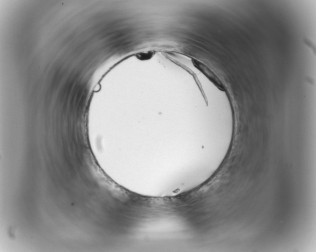 X0000103470960200810100932