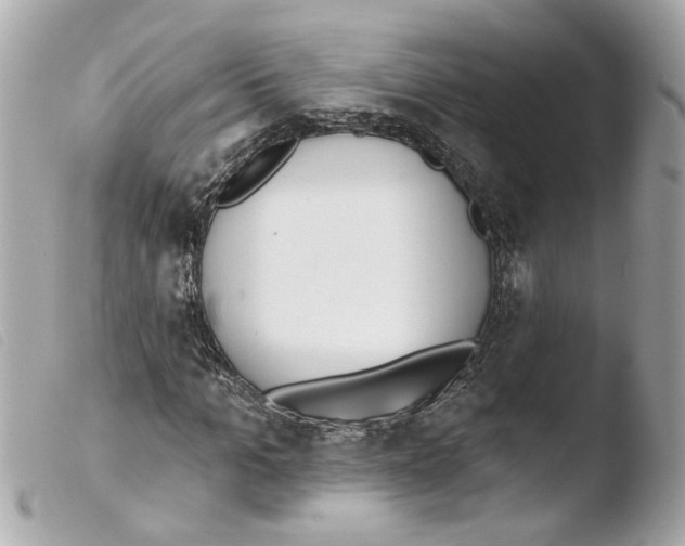 X0000103470965200810100931