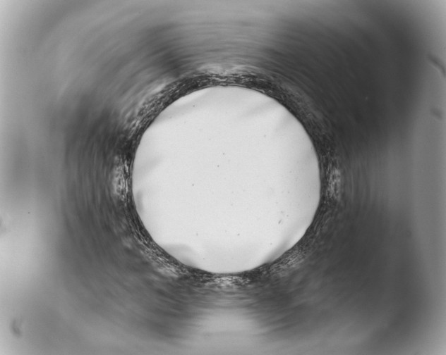 X0000103470966200810100931