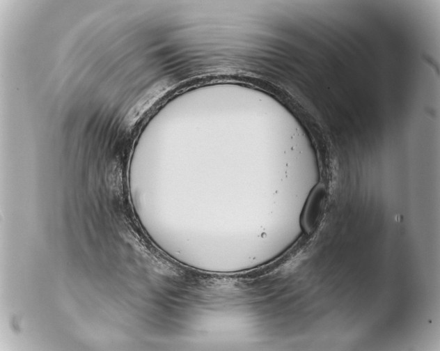 X0000103470969200810100931