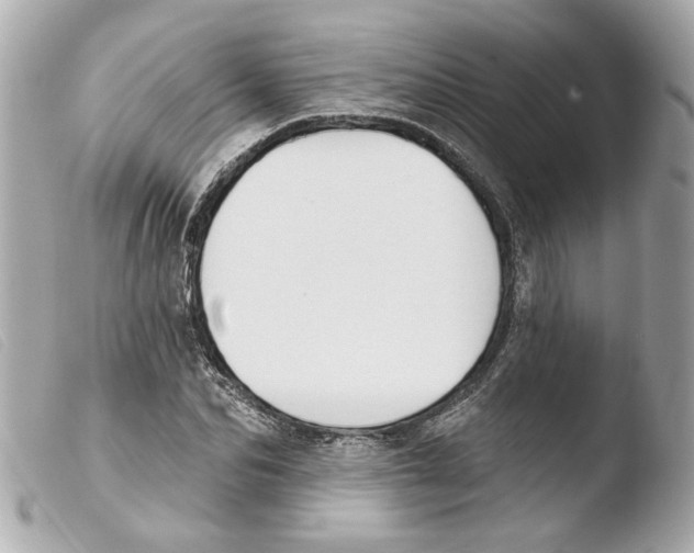 X0000103470974200810100931