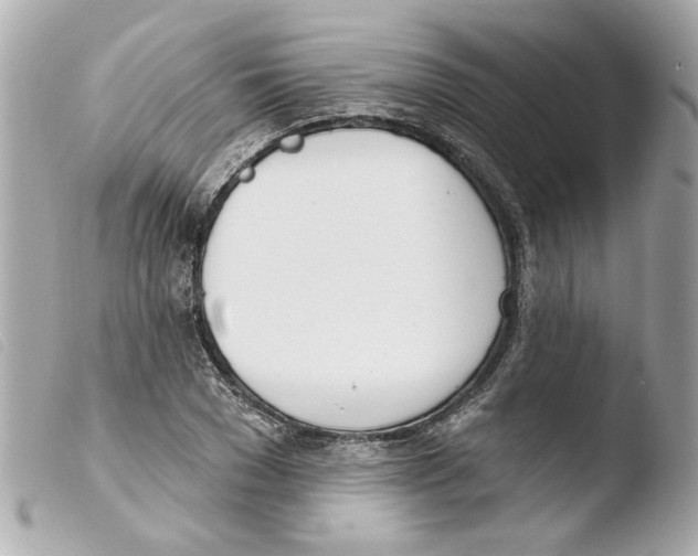 X0000103470977200810100931