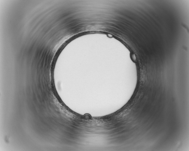 X0000103470980200810100930