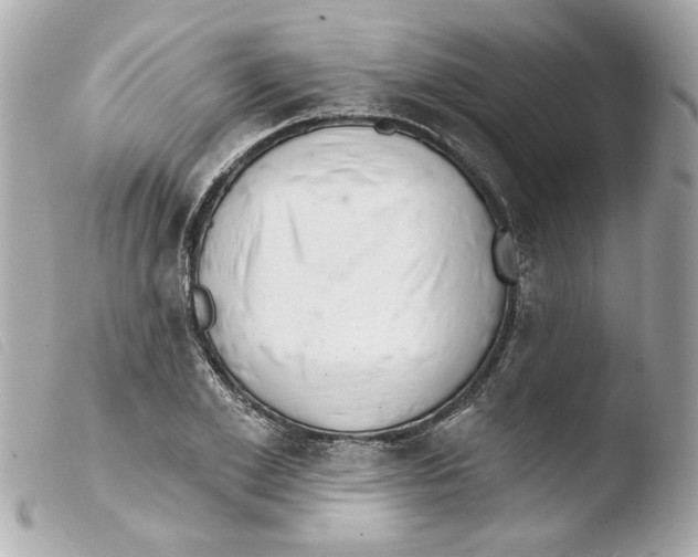 X0000103470981200810100930