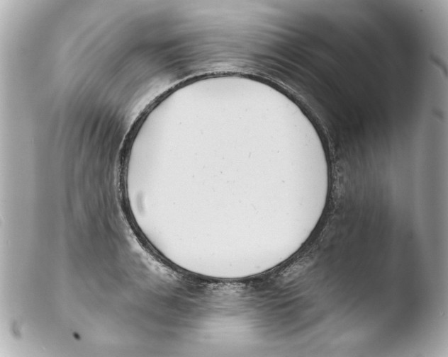 X0000103470991200810100930