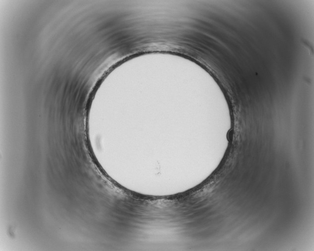 X0000103470992200810100930