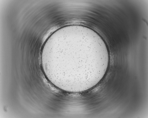 X0000103470994200810100930