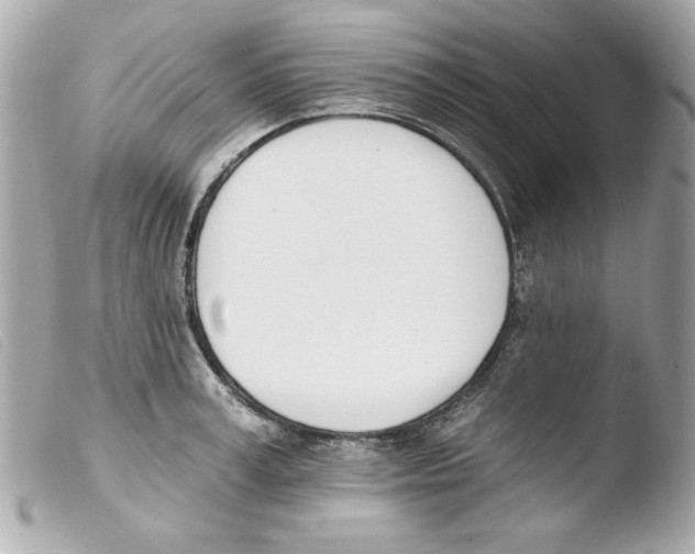 X0000103470995200810100930