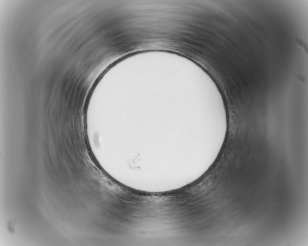 X0000103470996200810100930