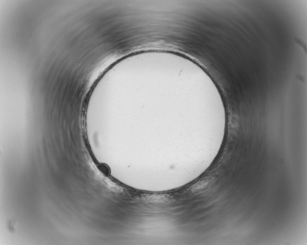 X0000103470998200810100930