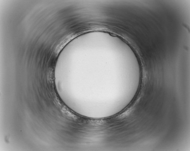 X0000103471001200810100930