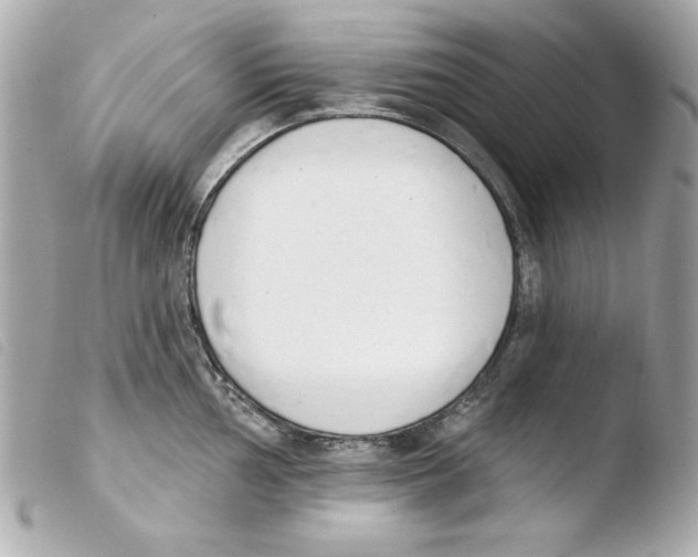 X0000103471002200810100930