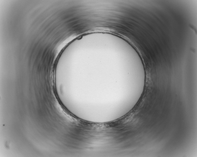 X0000103471003200810100930