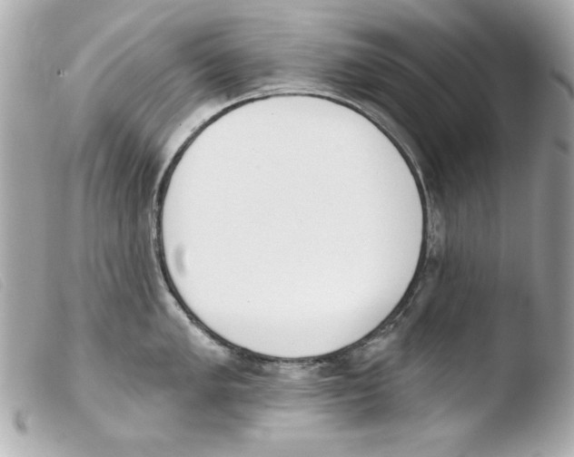X0000103471005200810100930