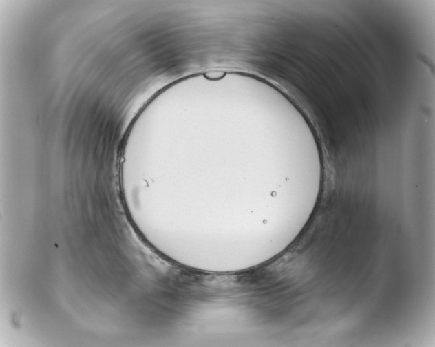 X0000103471006200810100930