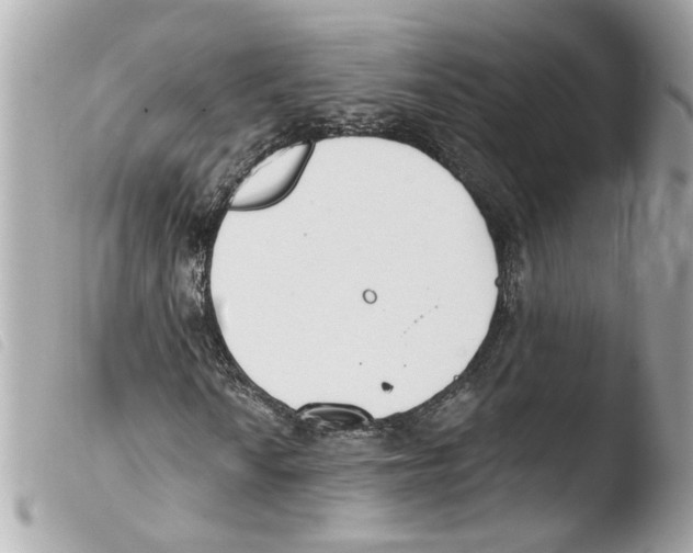 X0000103471010200810100929