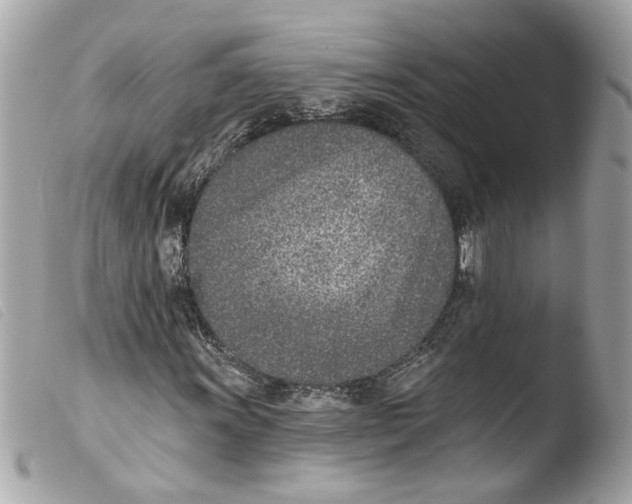 X0000103471011200810100929