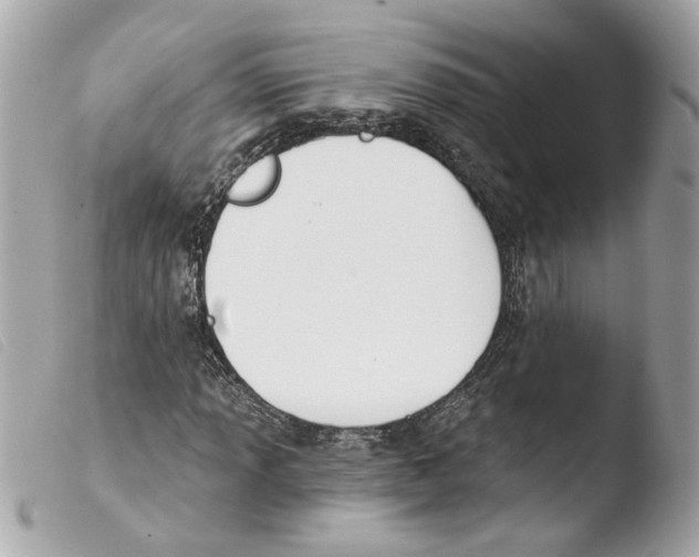 X0000103471013200810100929