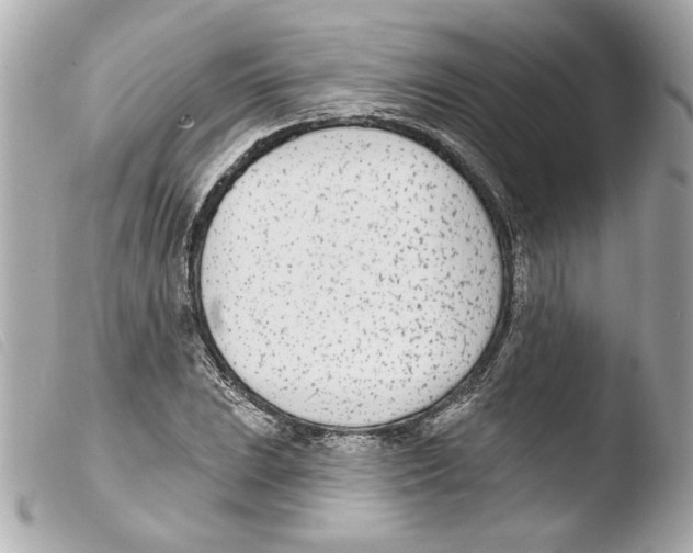 X0000103471023200810100930