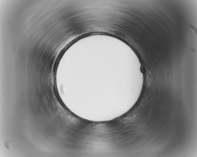 X0000103471028200810100930