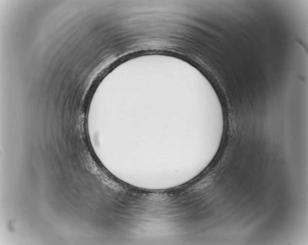 X0000103471029200810100930