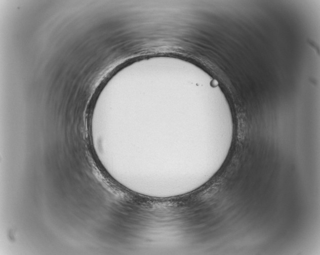 X0000103471031200810100930
