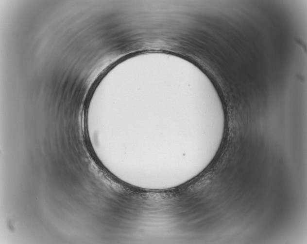 X0000103471032200810100930
