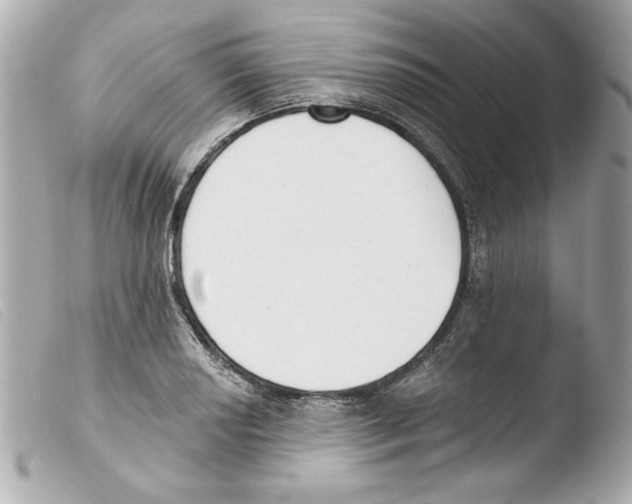X0000103471034200810100930