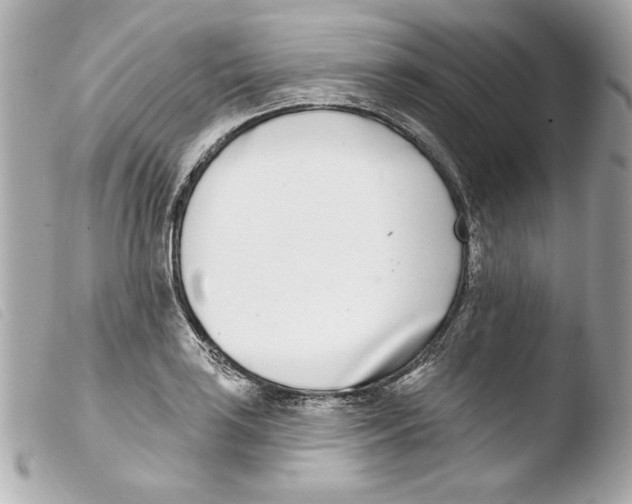 X0000103471035200810100930