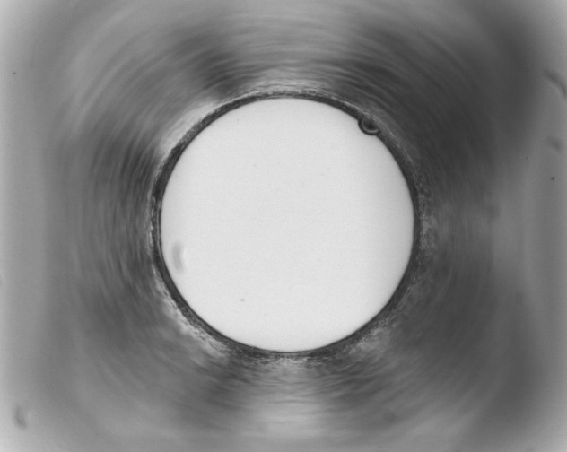 X0000103471038200810100930