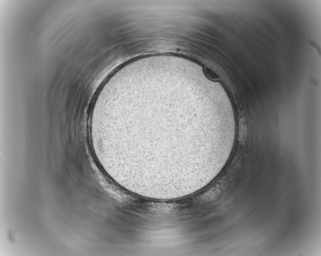X0000103471039200810100930