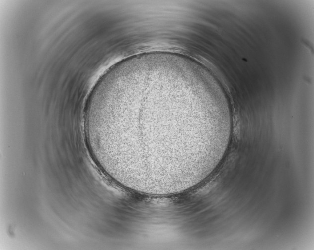 X0000103471043200810100930