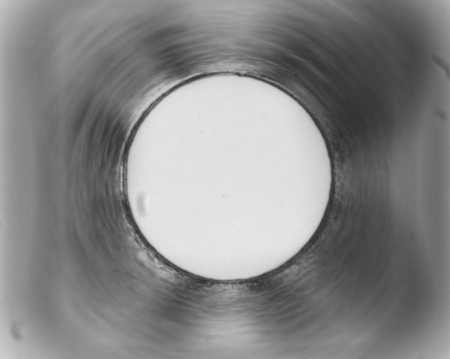 X0000103471044200810100930