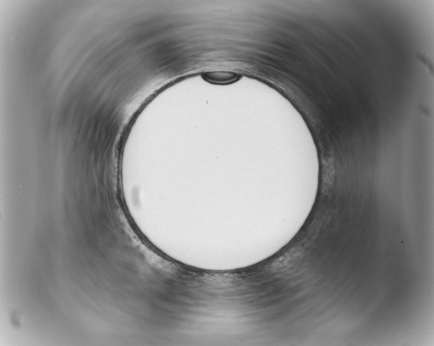 X0000103471046200810100930