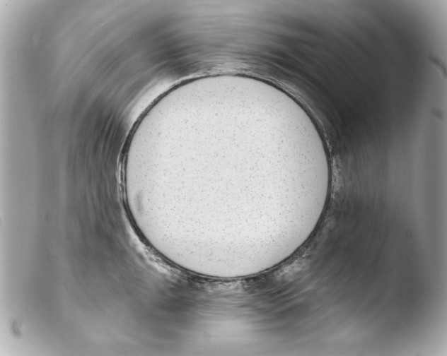 X0000103471047200810100930