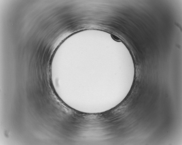 X0000103471048200810100930