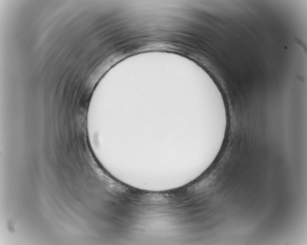 X0000103471049200810100930