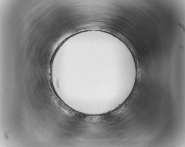 X0000103471051200810100930
