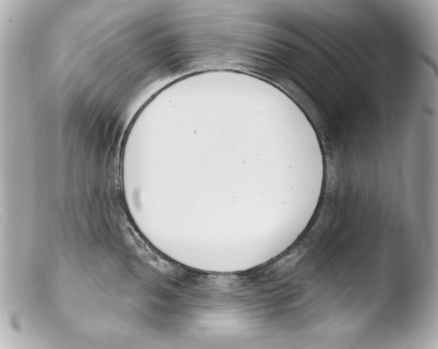 X0000103471052200810100930