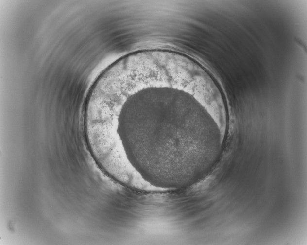 X0000103471053200810100930