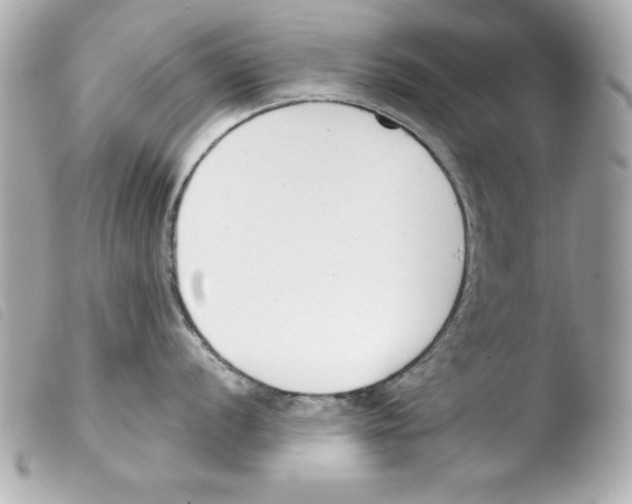 X0000103471056200810100930