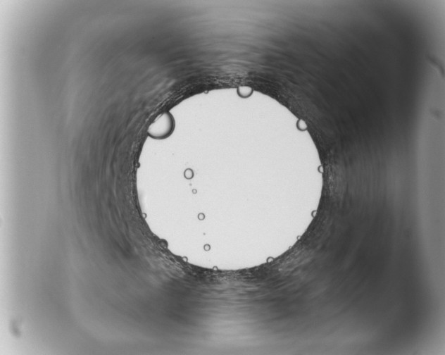 X0000103471057200810100929