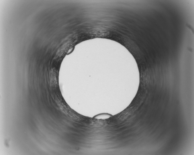 X0000103471058200810100929