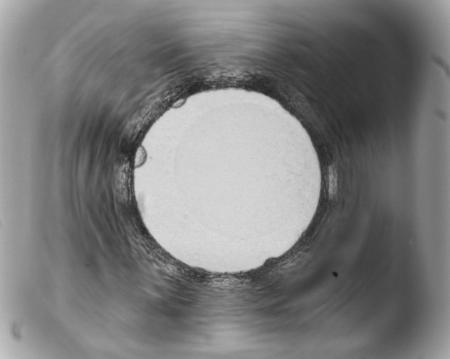 X0000103471059200810100929