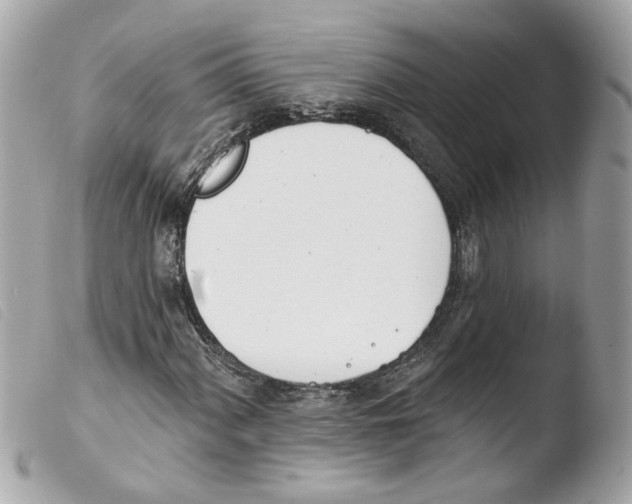 X0000103471060200810100929